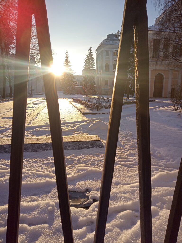Клетка, Солнце, Свет